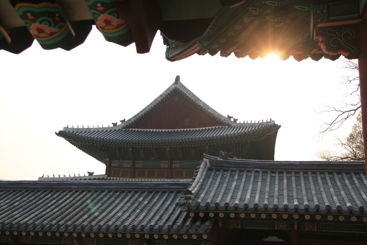 창덕궁 전각 지붕 Changdeokgung Palace Roofs