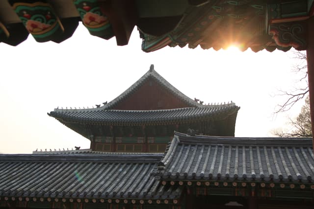창덕궁 전각 지붕